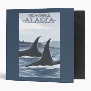 Classeur Baleines #1 - Skagway, Alaska d'orque