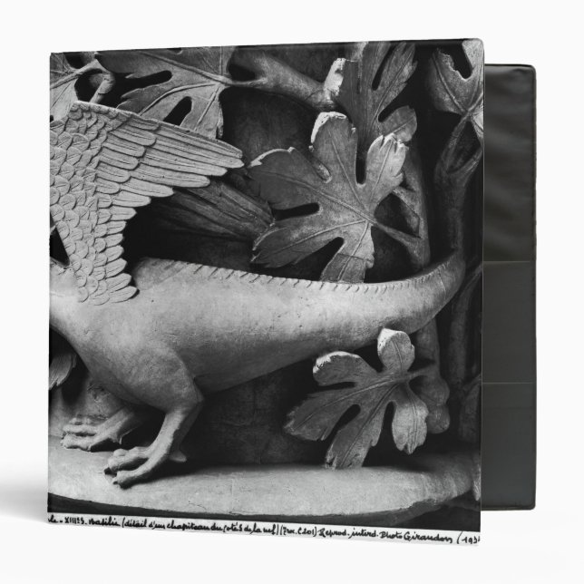 Classeur Basilic (Devant/Intérieur)