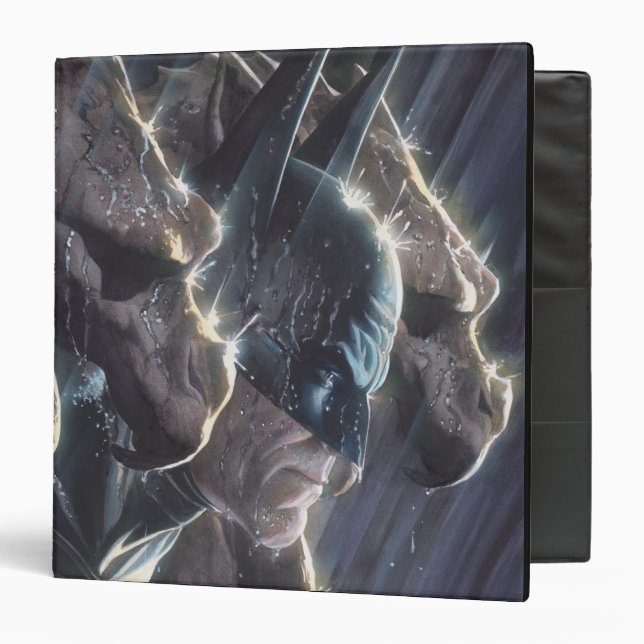 Classeur Batman Vol 1 #681 Couverture (Devant/Intérieur)