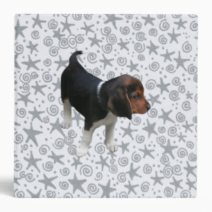 Classeur beagle Puppy