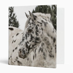 Classeur Beau cheval Appaloosa noir et blanc