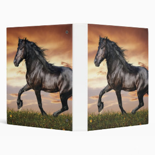 Classeur Beau Cheval Noir