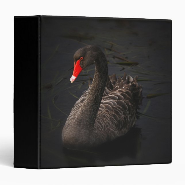 Classeur Beau cygne noir avec un bec rouge vif (Devant/Côté)