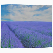Beau paysage des gisements de lavande