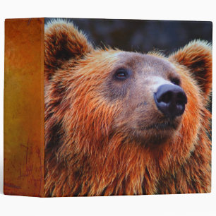 Classeur Beau Portrait d'ours Brown Faune Photo