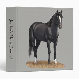 Classeur Beau Stallion Cheval du Quartier Noir