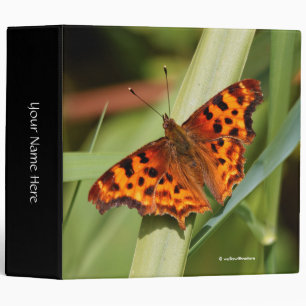 Classeur Beautiful Orange Satyr Comma Butterfly