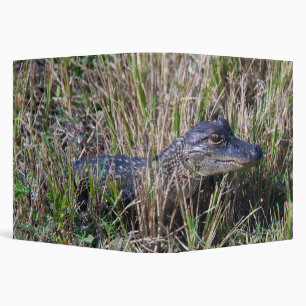 Classeur Bébé alligator dans la photographie de l'herbe des