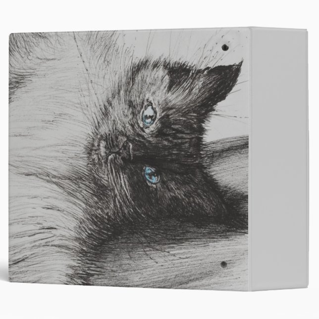 Classeur Bébé effronté (Dos/Côté)