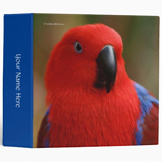 Classeur Belle "Dame en rouge" Eclectus Parrot (Devant/Côté)