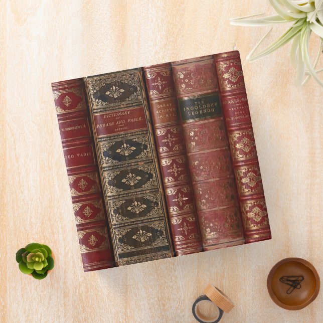 Classeur Belle épines de livre (Dictionnaire) (In Situ)