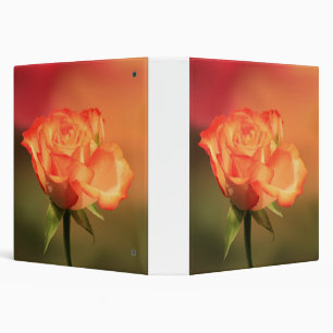 Classeur Belle photographie de rose romantique