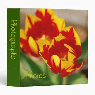 Classeur Belles tulipes 1,5" album photos