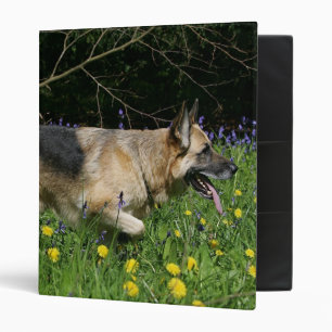 Classeur Berger allemand en fleurs jaunes