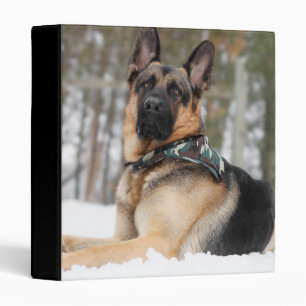 Classeur Berger Allemand En Neige