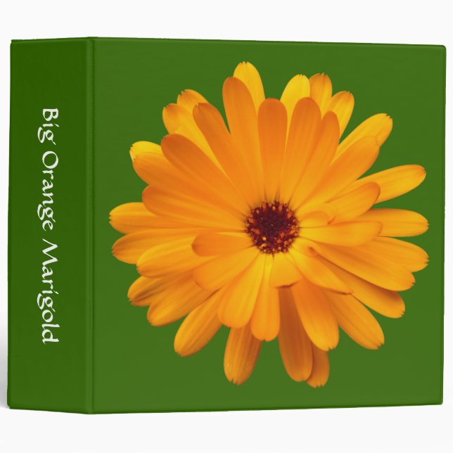 Classeur Big Orange Marigold (2po) - Vert 336600 (Devant/Côté)