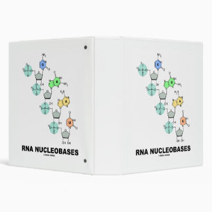 Classeur Biochimie des nucléobases ARN