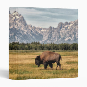Classeur Bison dans le Tetons