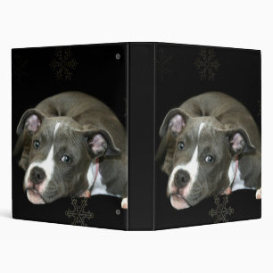 Classeur bleu de chiot de pitbull
