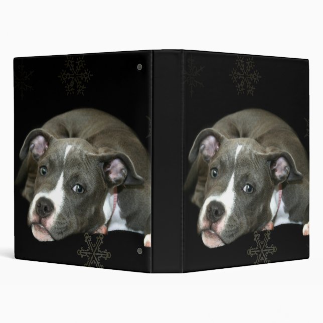 Classeur bleu de chiot de pitbull (Arrière-plan)