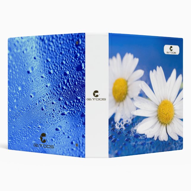 CLASSEUR BLINDERS ET DOSSIERS GATTOOS (Arrière-plan)