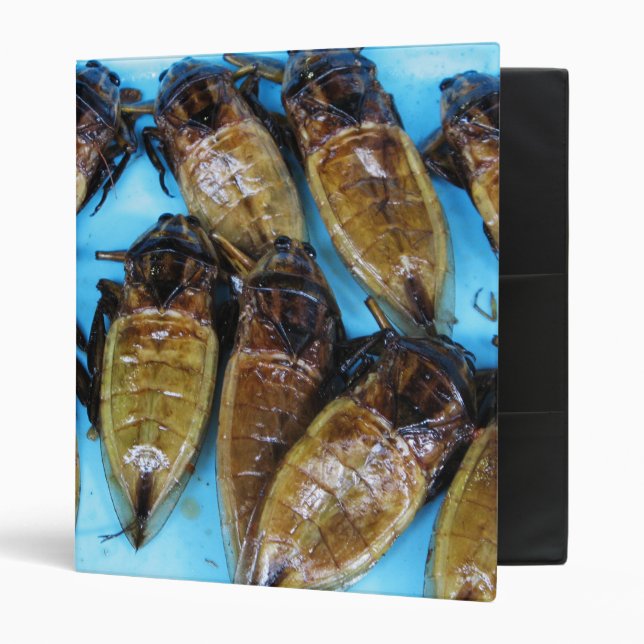 Classeur Bogue d'eau géante frite (Maeng Daa) ... Alimentat (Devant/intérieur)
