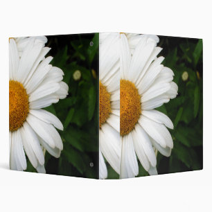 Classeur Bord d'une marguerite