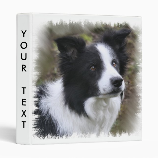 Classeur Border collie art (Devant/Côté)