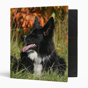 Classeur Border collie haletant la fixation