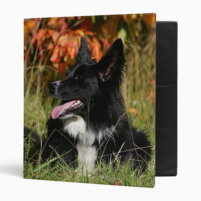 Classeur Border collie haletant la fixation (Devant/intérieur)