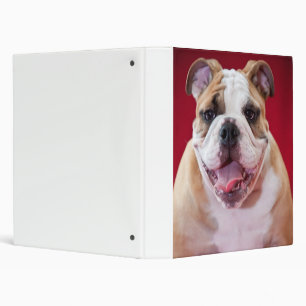 Classeur Bouledogue anglais