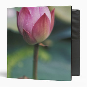 Classeur Bourgeon de fleur de lotus, Hangzhou, province de