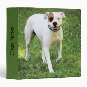 Classeur Boxer