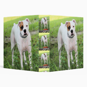 Classeur Boxer