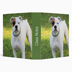 Classeur Boxer