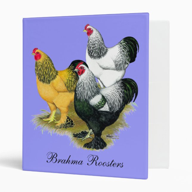 Classeur Brahmas Three Roosters (Devant/intérieur)