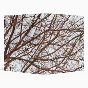Classeur Branches d'arbre dans l'automne