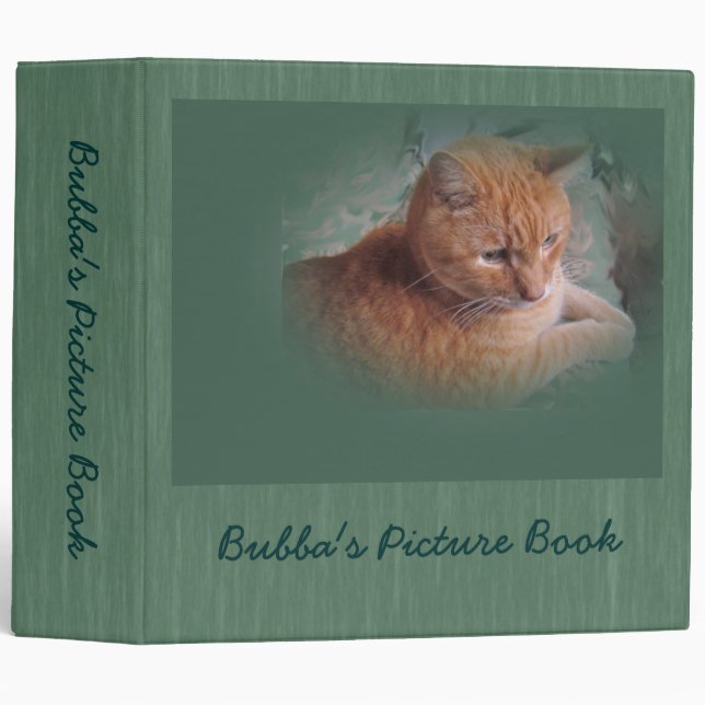 Classeur Bubba l'Orange Tabby Tomcat (Devant/Côté)