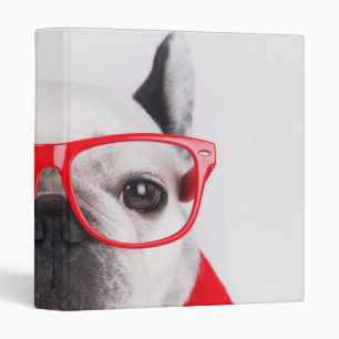 Classeur Bulldog français avec lunettes et chemise