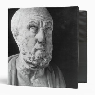 Classeur Buste de Hippocrate
