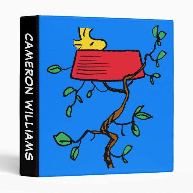 Classeur cacahuètes | Bois en sieste dans le plat de Snoopy (Devant/Côté)