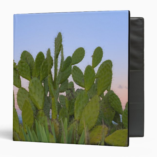 Classeur Cactus et sisal en forêt sèche (Devant/Intérieur)