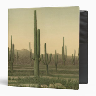 Classeur Cactus grove, Arizona