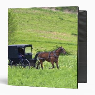 Classeur Calesse et cheval amish près de Berlin, Ohio.