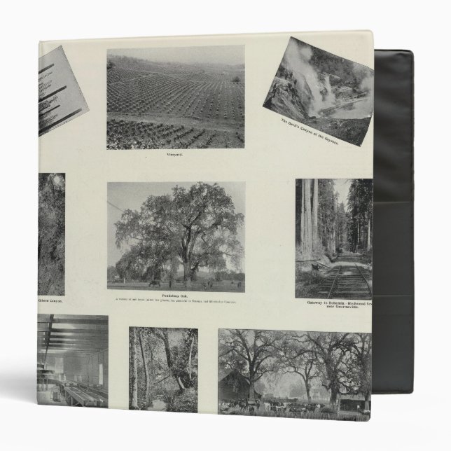 Classeur Californie 4 (Devant/Intérieur)