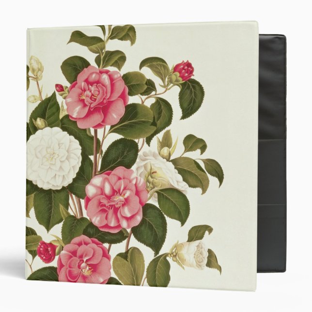 Classeur Camélia "d'une monographie sur les genres (Devant/Intérieur)