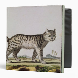 Classeur Canadien Lynx