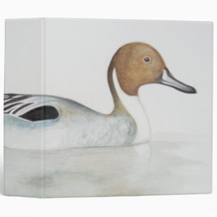 Classeur Canard 2011 de canard pilet