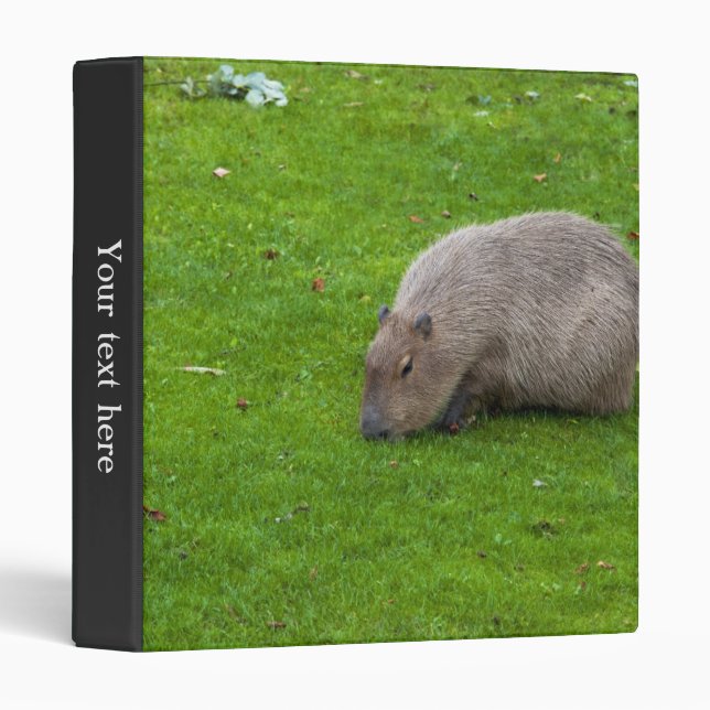 Classeur Capybara Animal Incroyable (Devant/Côté)