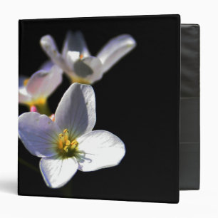 Classeur Cardamine Pratensis Fleurs rbcnm